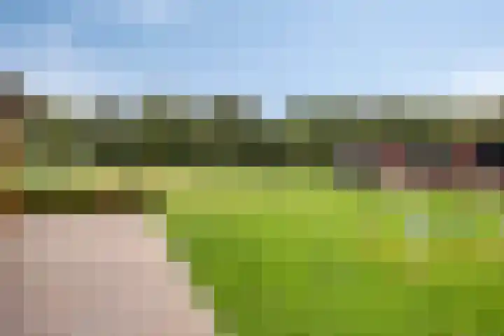 Veenhofsweg 41 Alteveer thumbnail 44