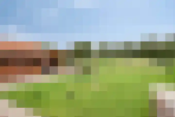 Veenhofsweg 41 Alteveer thumbnail 46