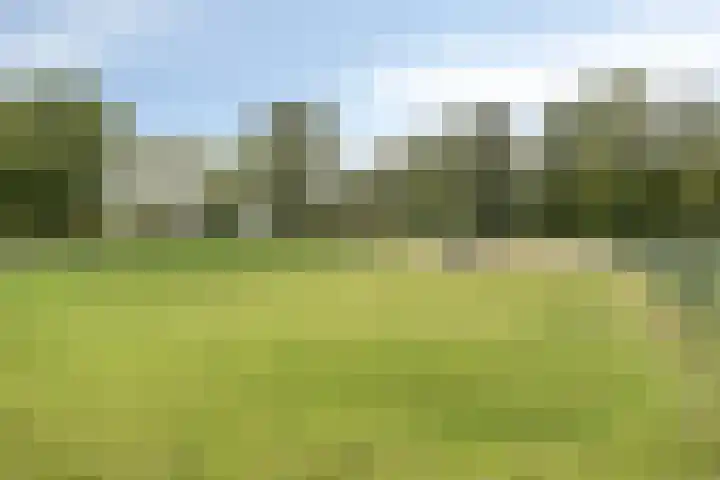 Veenhofsweg 41 Alteveer thumbnail 48