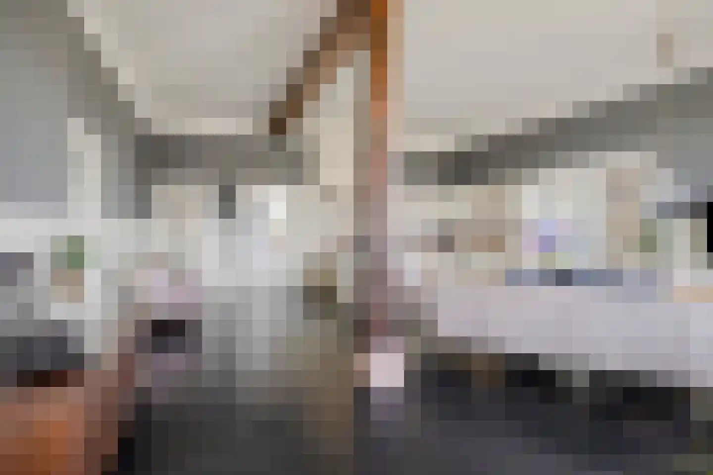 Veenhofsweg 62 Alteveer thumbnail 16