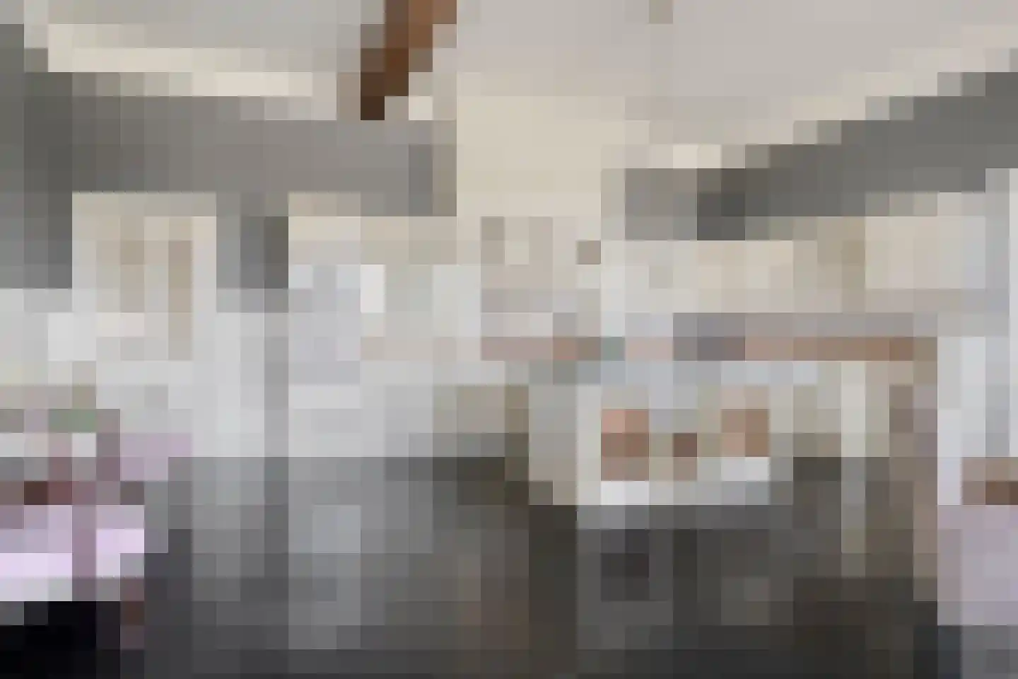 Veenhofsweg 62 Alteveer thumbnail 21