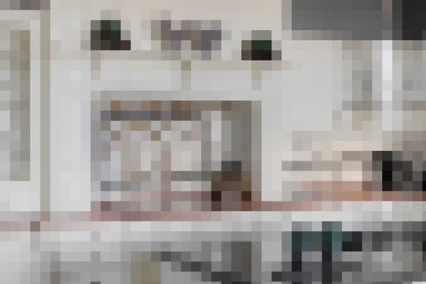 Veenhofsweg 62 Alteveer thumbnail 29