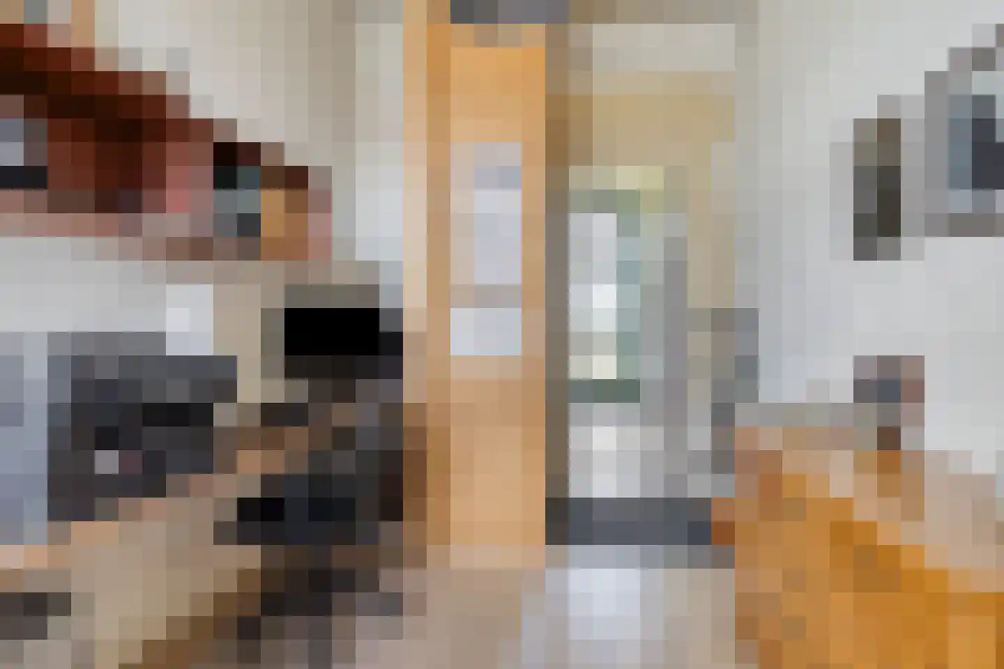 Veenhofsweg 62 Alteveer thumbnail 48