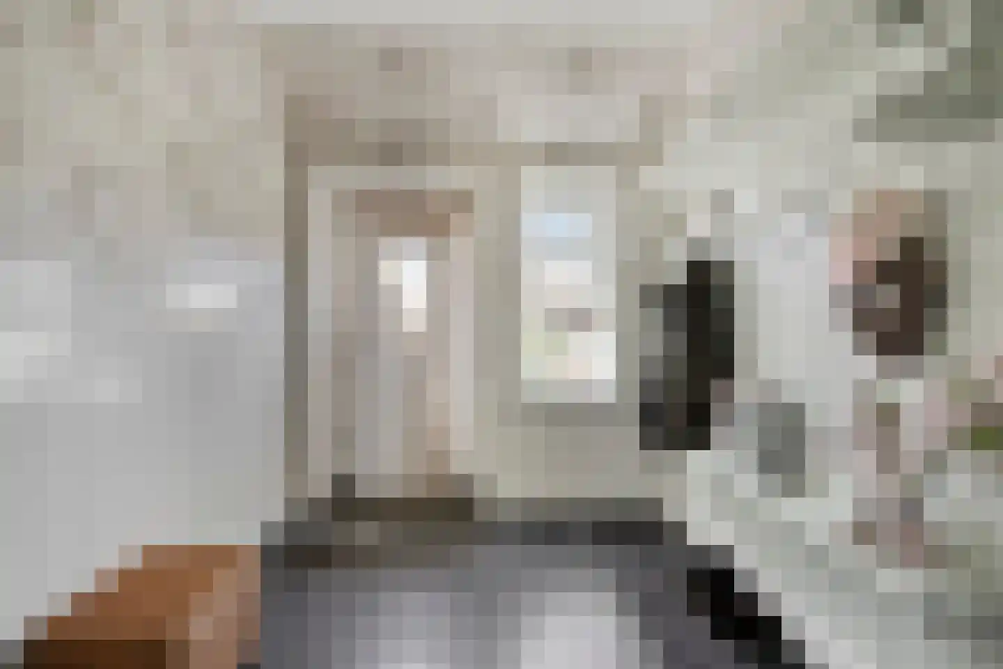 Veenhofsweg 62 Alteveer thumbnail 54