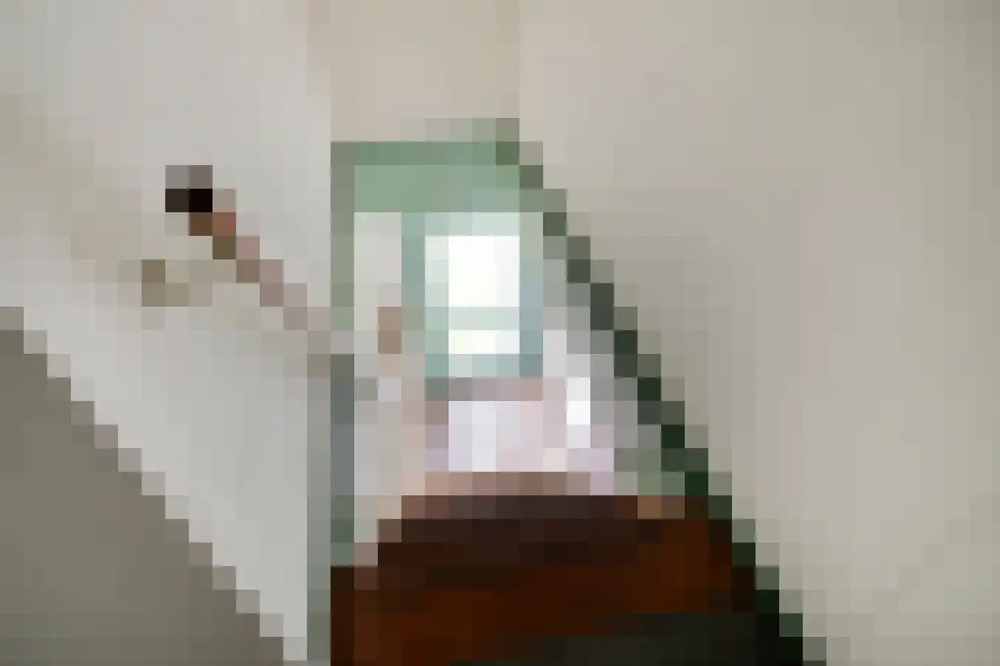 Veenhofsweg 62 Alteveer thumbnail 67