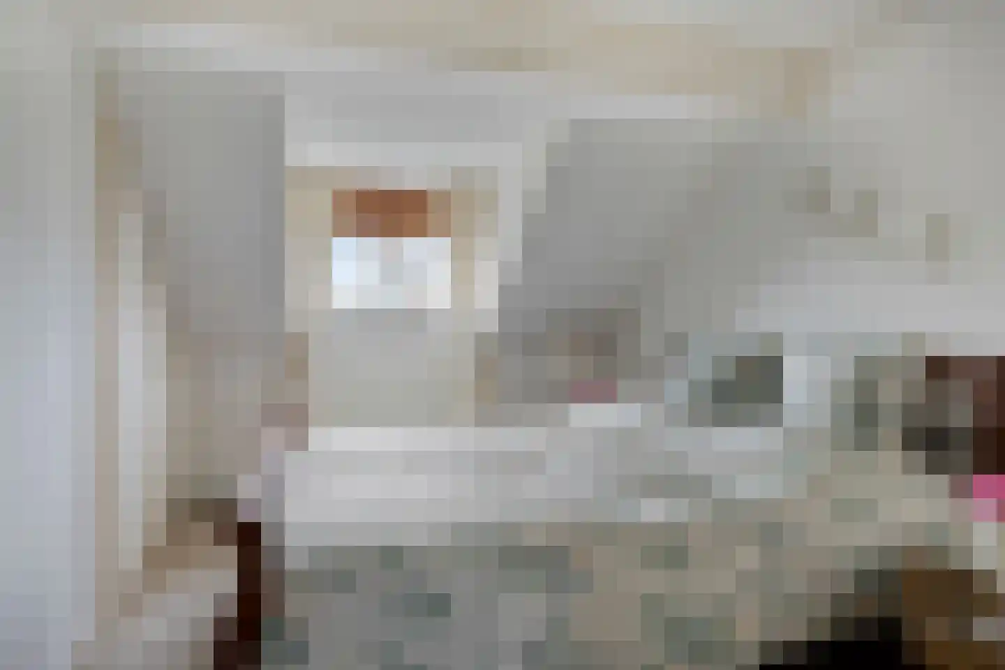 Veenhofsweg 62 Alteveer thumbnail 70