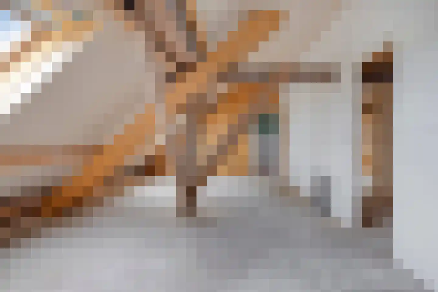 Veenhofsweg 62 Alteveer thumbnail 80