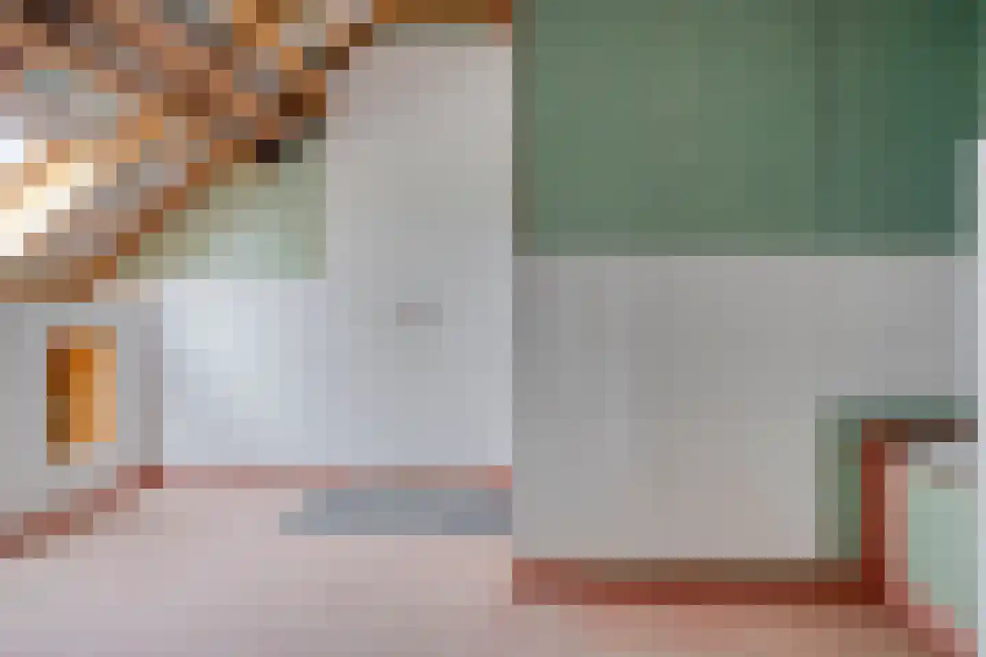 Veenhofsweg 62 Alteveer thumbnail 81