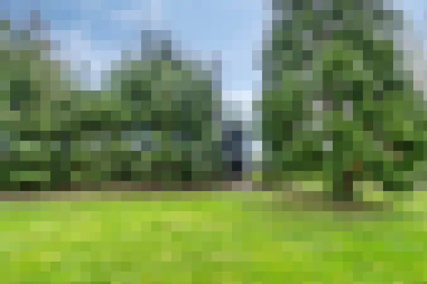 Veenhofsweg 62 Alteveer thumbnail 89