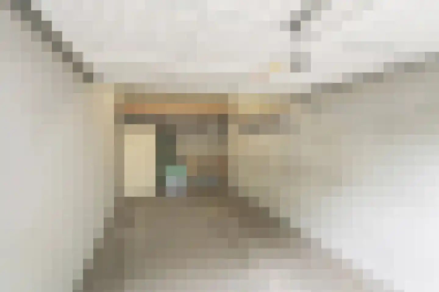 Veenhoopsweg 26 11 Smilde thumbnail 44