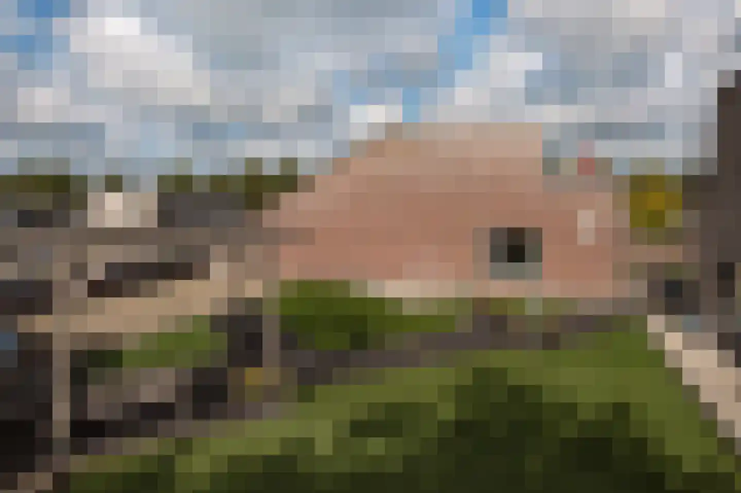 Veenhoopsweg 26 11 Smilde thumbnail 5