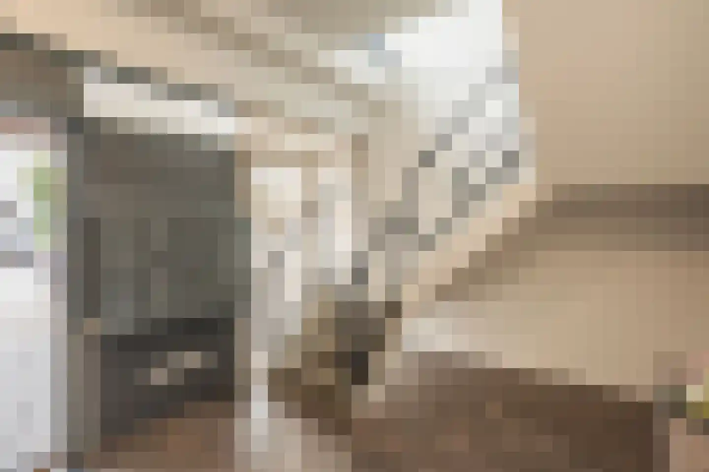 Veenhoopsweg 26 11 Smilde thumbnail 7