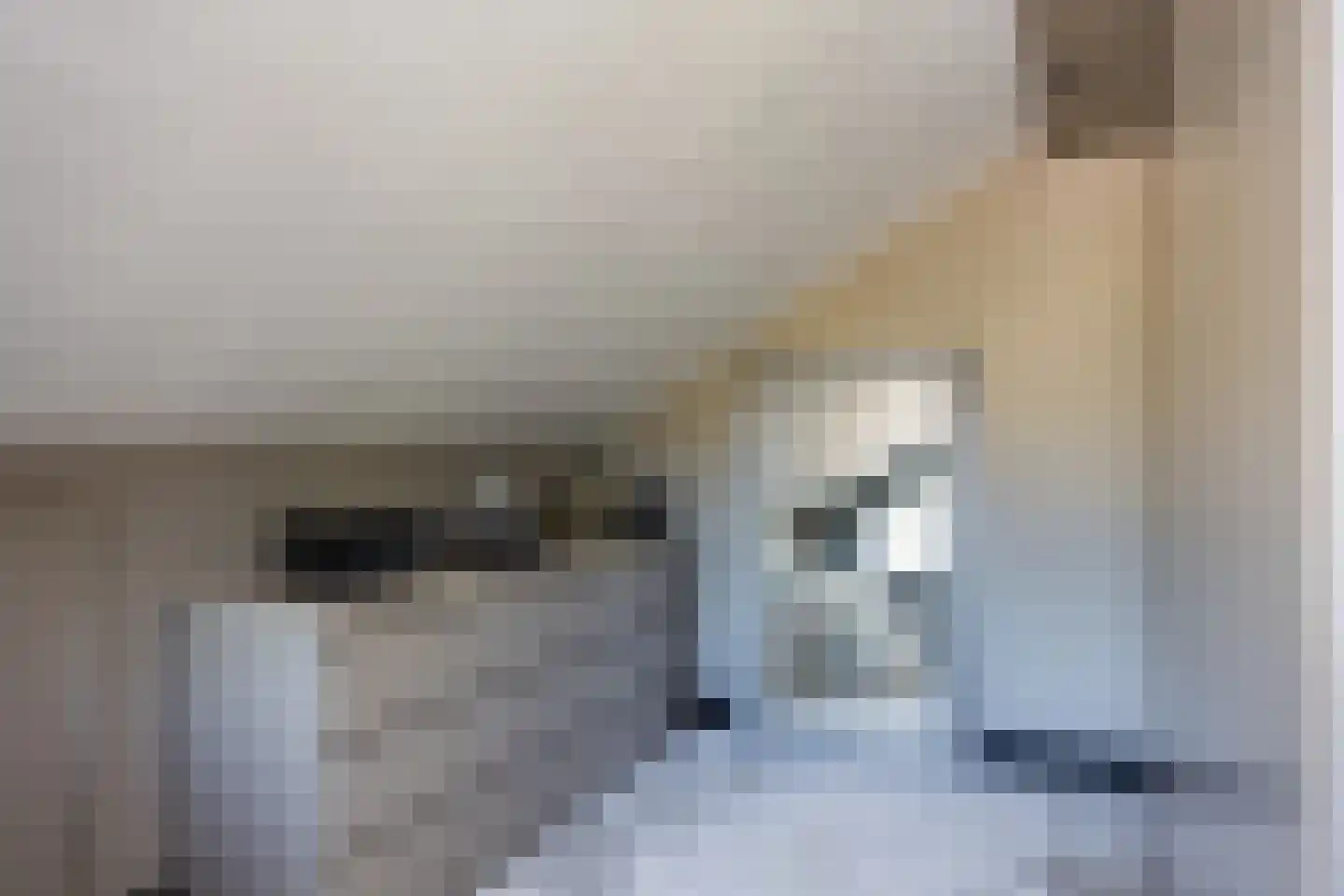 Veenhuisweg 30 Twello thumbnail 20