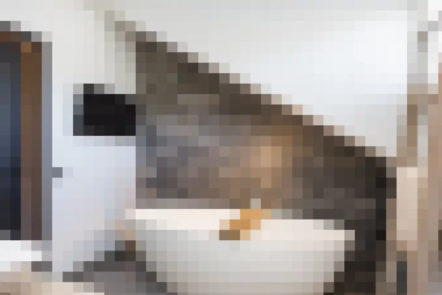 Veenhuisweg 30 Twello thumbnail 22