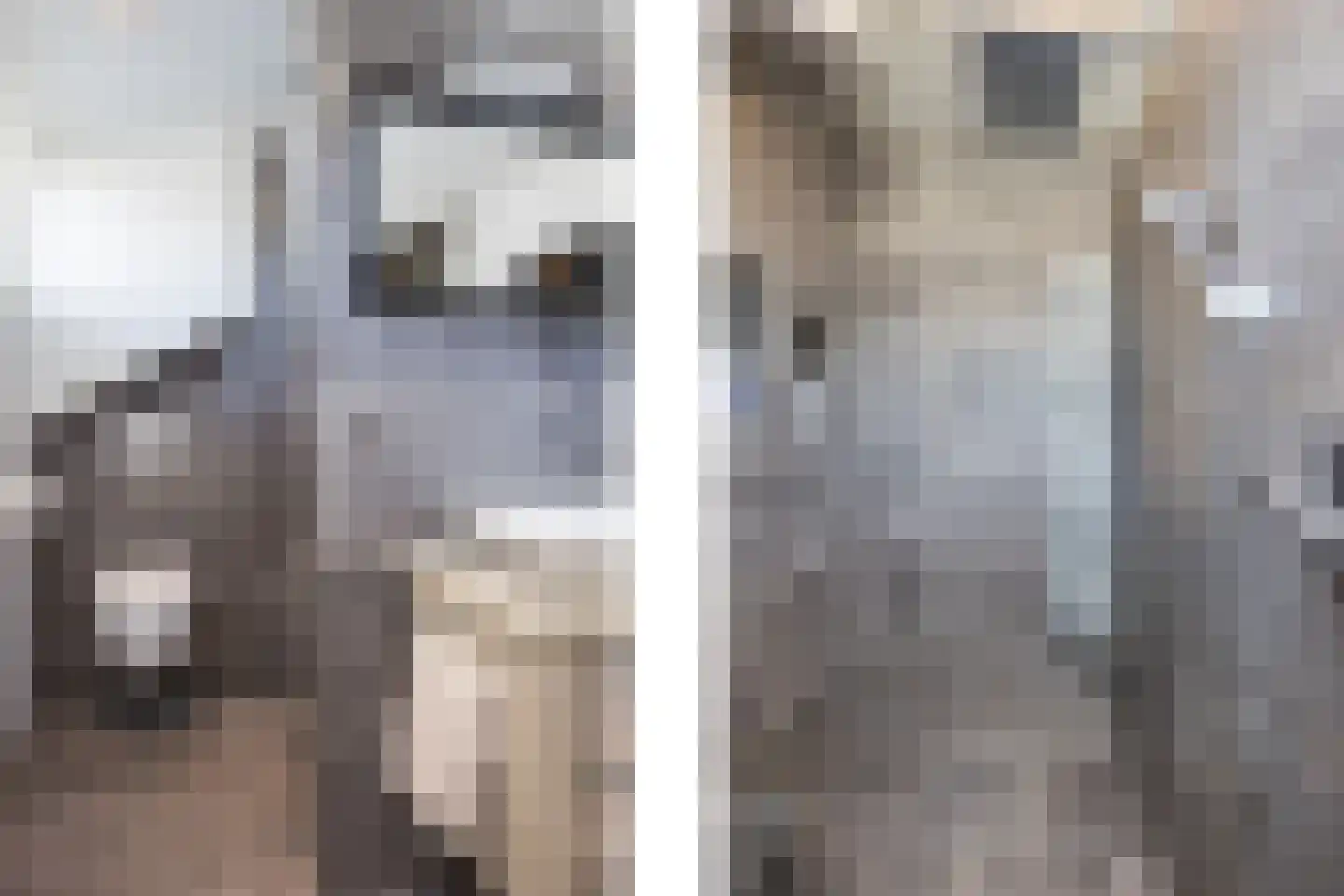 Veenhuisweg 30 Twello thumbnail 23