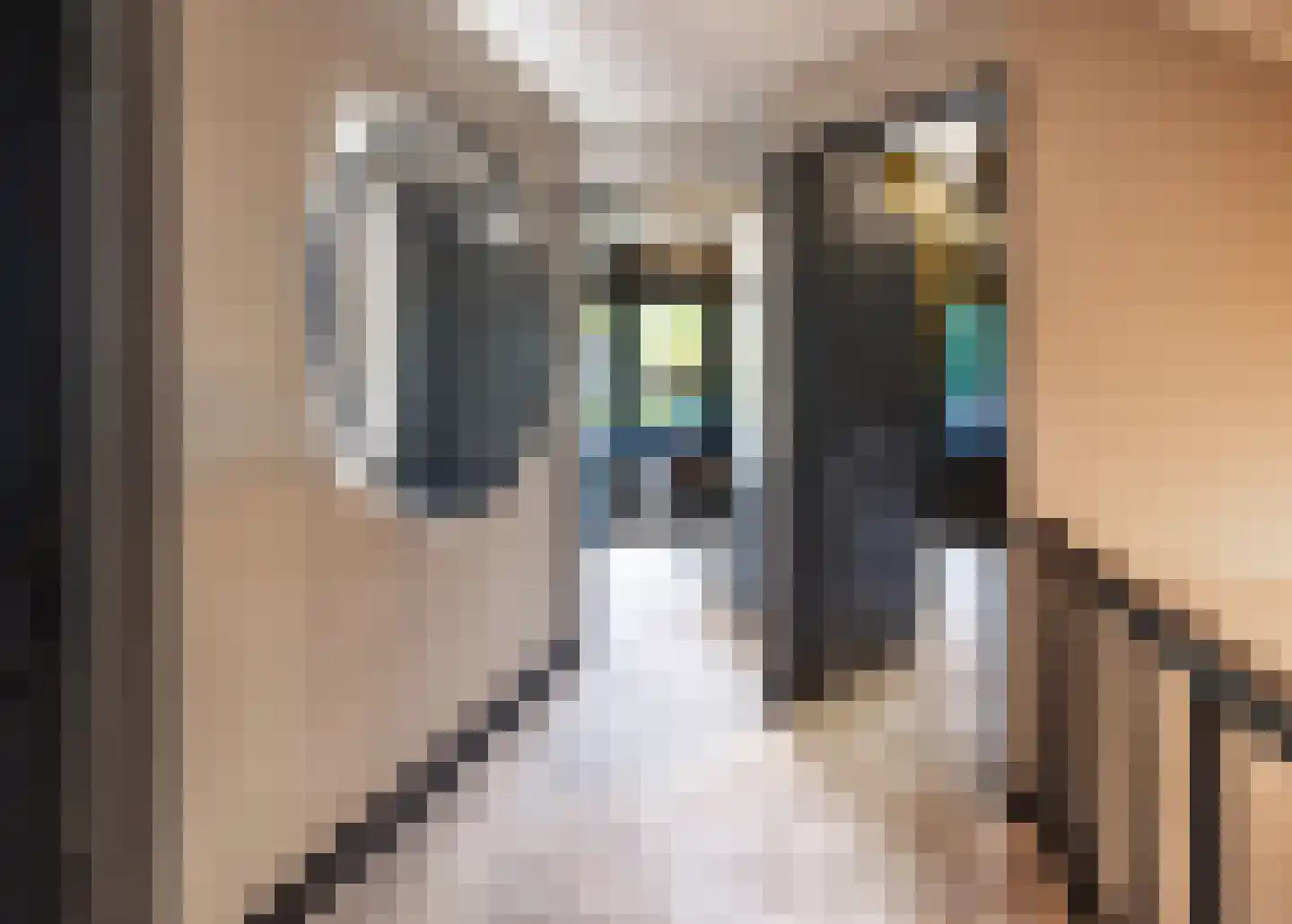 Veenhuisweg 30 Twello thumbnail 24