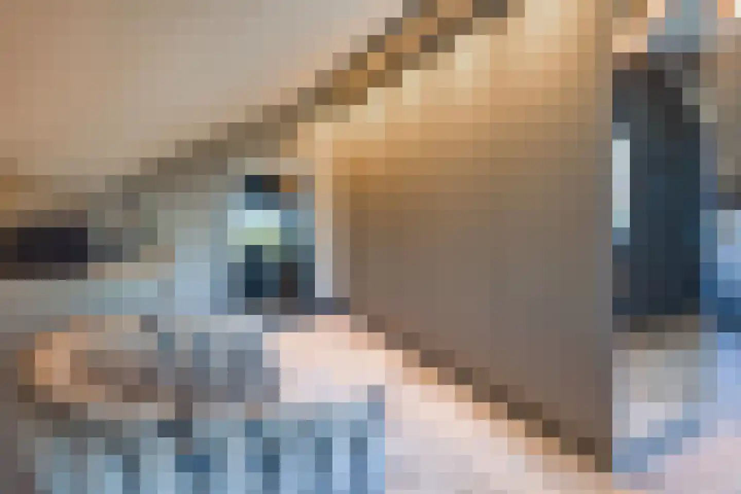 Veenhuisweg 30 Twello thumbnail 27