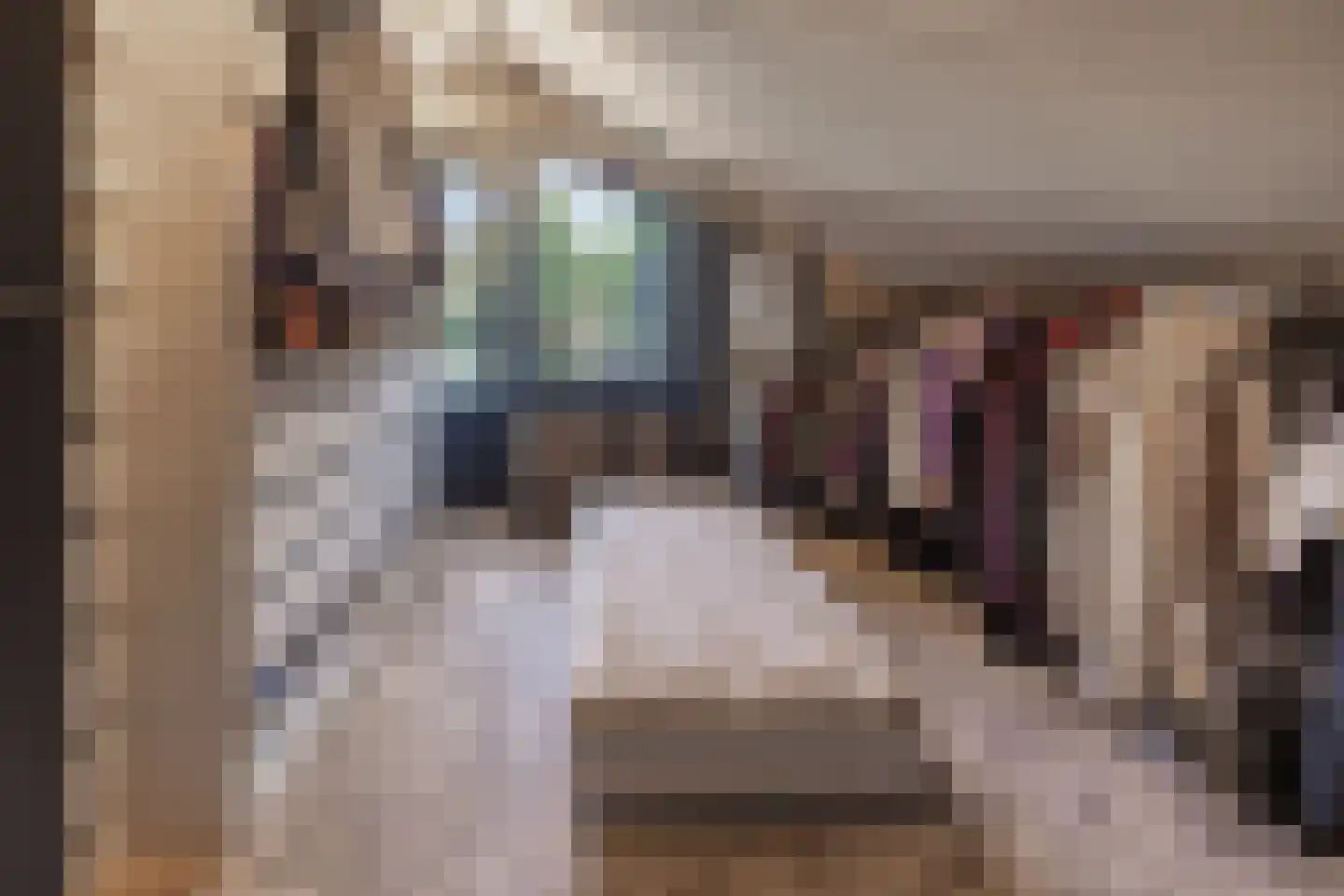 Veenhuisweg 30 Twello thumbnail 29