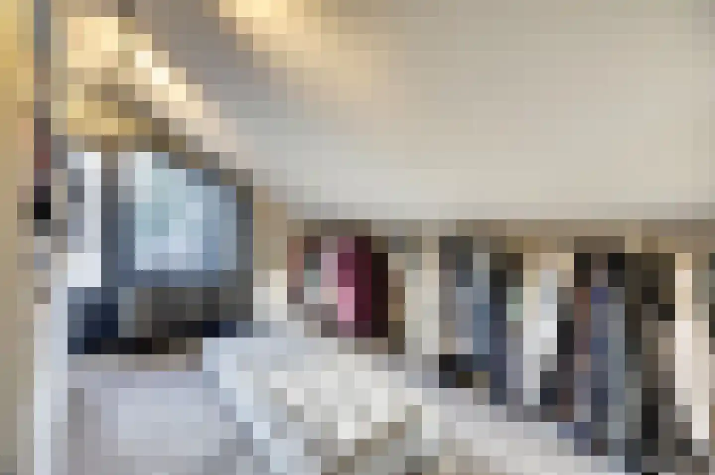 Veenhuisweg 30 Twello thumbnail 30