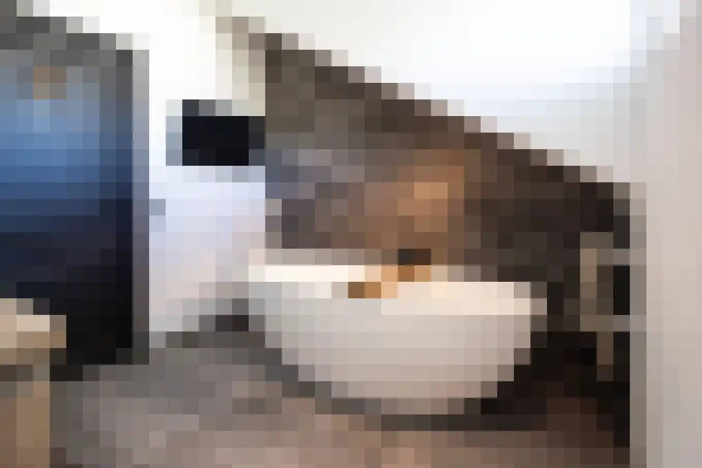 Veenhuisweg 30 Twello thumbnail 32