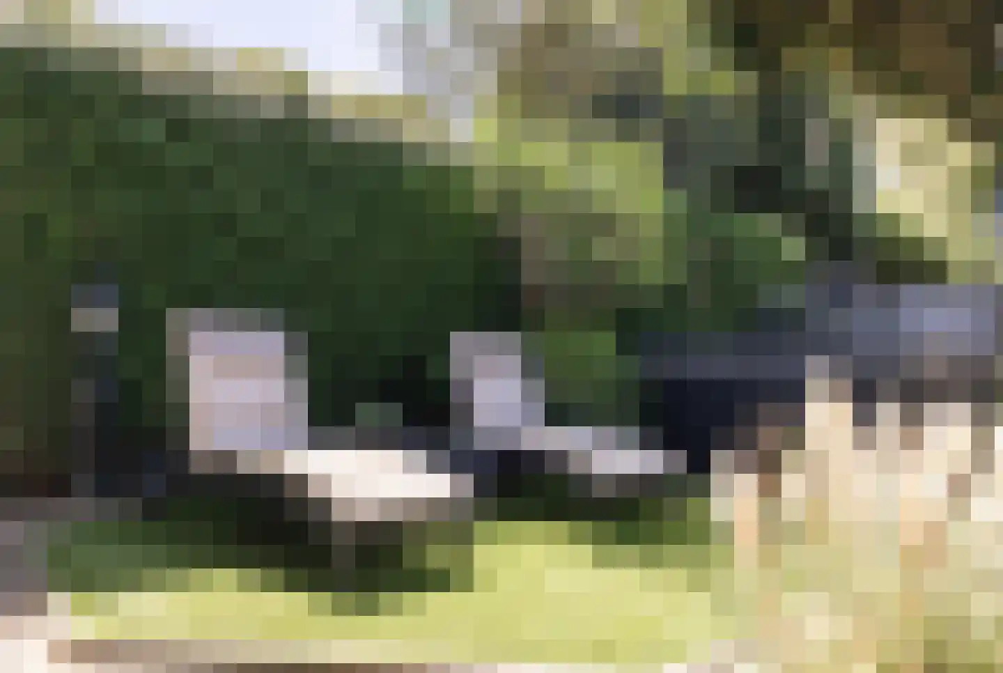 Veenhuisweg 30 Twello thumbnail 43