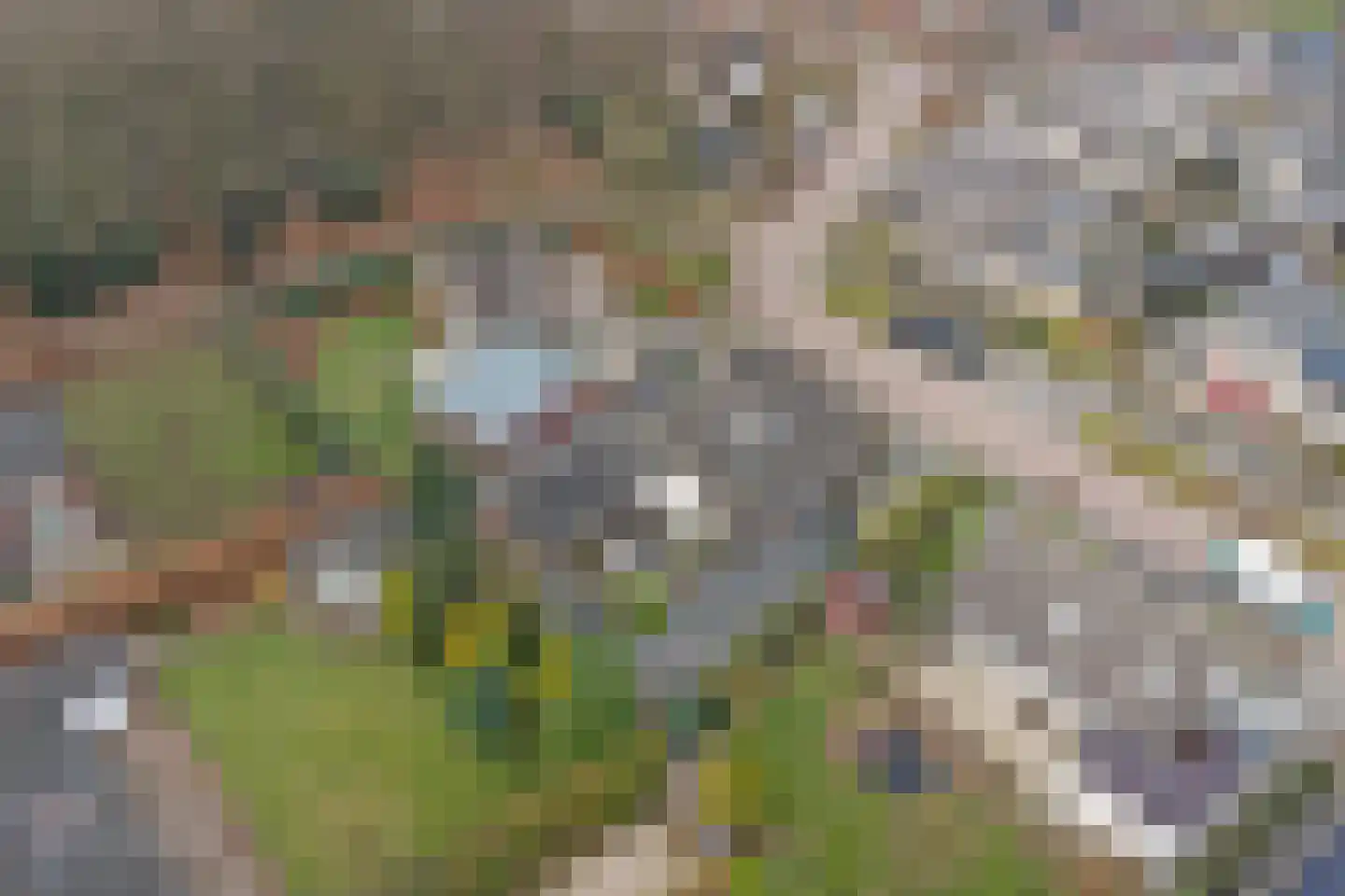 Veenhuisweg 30 Twello thumbnail 48