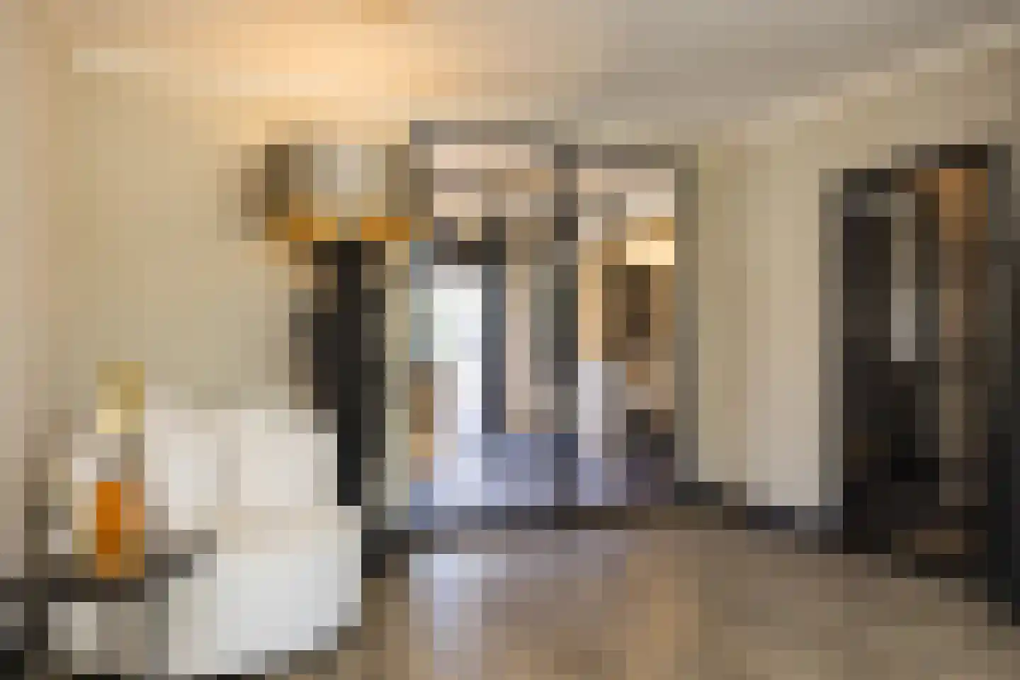 Veenhuisweg 30 Twello thumbnail 5