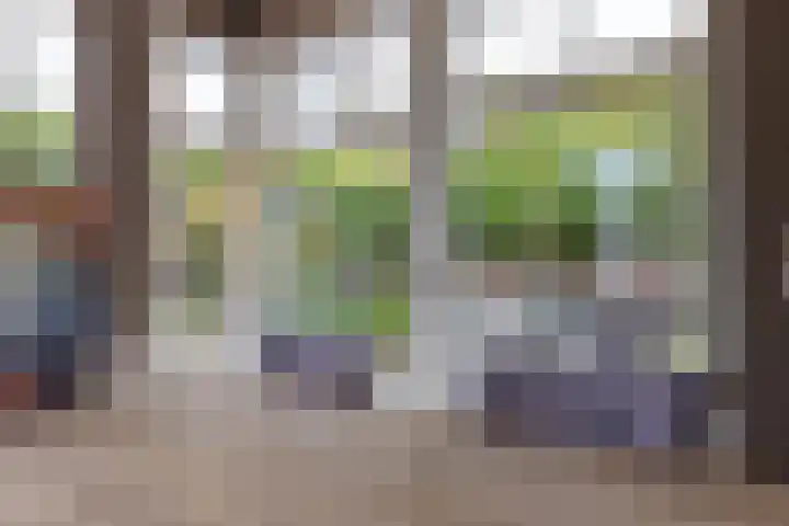 Veenhuisweg 57 Twello thumbnail 14