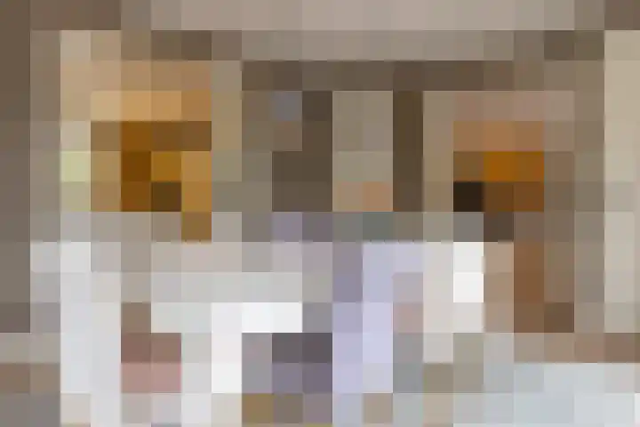 Veenhuisweg 57 Twello thumbnail 16