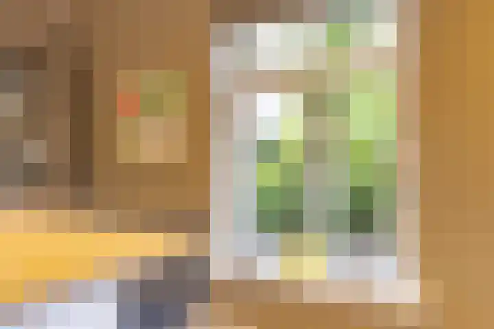 Veenhuisweg 57 Twello thumbnail 20