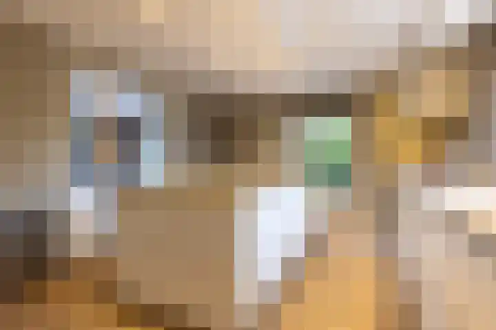 Veenhuisweg 57 Twello thumbnail 21