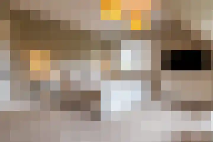 Veenhuisweg 57 Twello thumbnail 26
