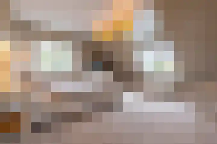 Veenhuisweg 57 Twello thumbnail 27