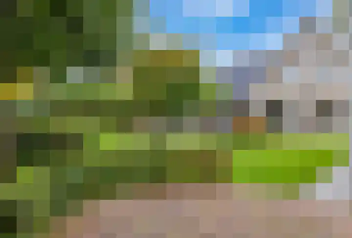 Veenhuisweg 57 Twello thumbnail 4