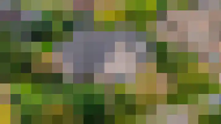 Veenhuisweg 57 Twello thumbnail 40