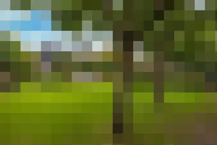Veenhuisweg 57 Twello thumbnail 44