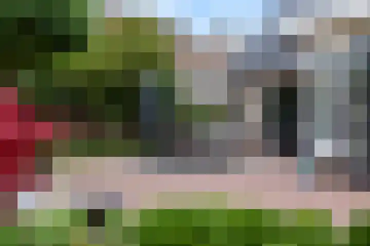 Veenhuisweg 57 Twello thumbnail 45