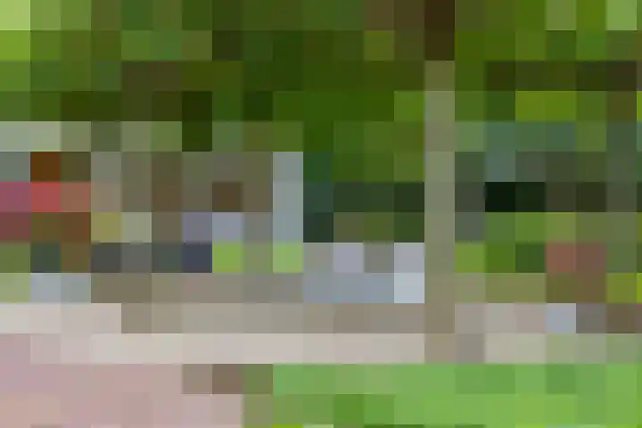 Veenhuisweg 57 Twello thumbnail 5