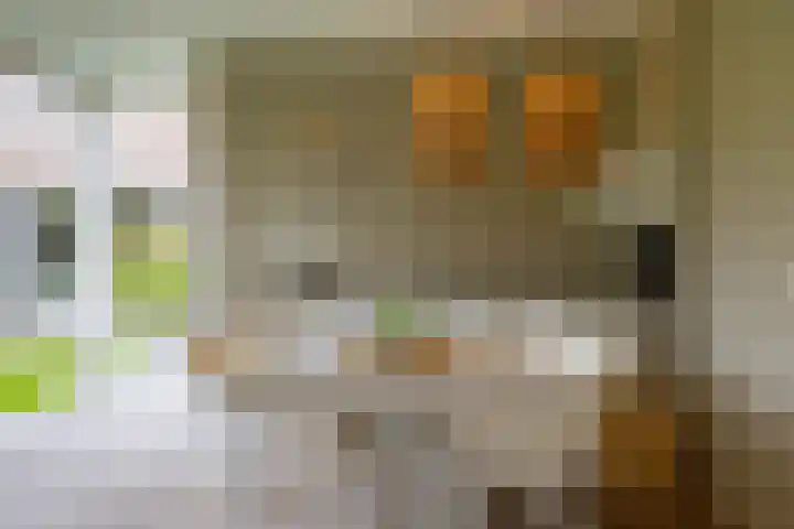 Veenhuisweg 57 Twello thumbnail 51
