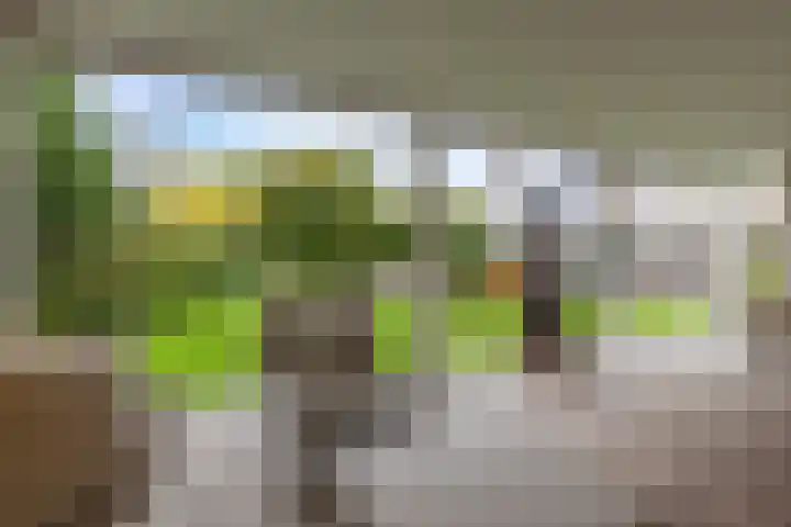 Veenhuisweg 57 Twello thumbnail 52