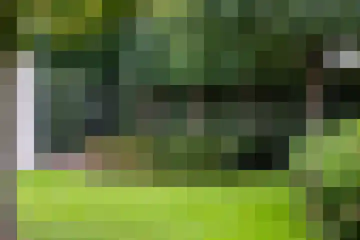 Veenhuisweg 57 Twello thumbnail 53