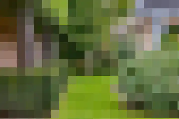 Veenhuisweg 57 Twello thumbnail 54