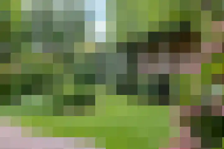 Veenhuisweg 57 Twello thumbnail 55