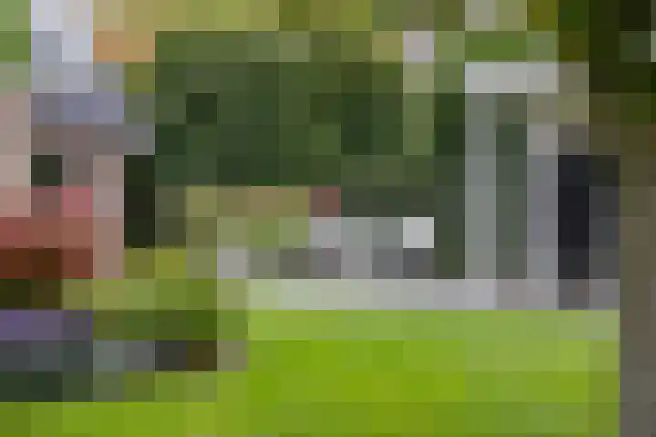 Veenhuisweg 57 Twello thumbnail 56