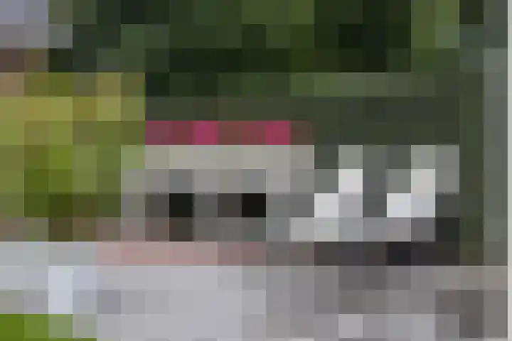 Veenhuisweg 57 Twello thumbnail 57