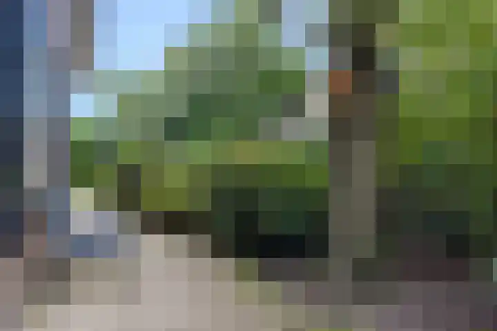 Veenhuisweg 57 Twello thumbnail 58