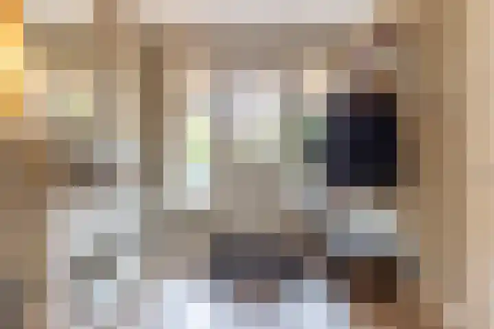 Veenhuisweg 57 Twello thumbnail 6
