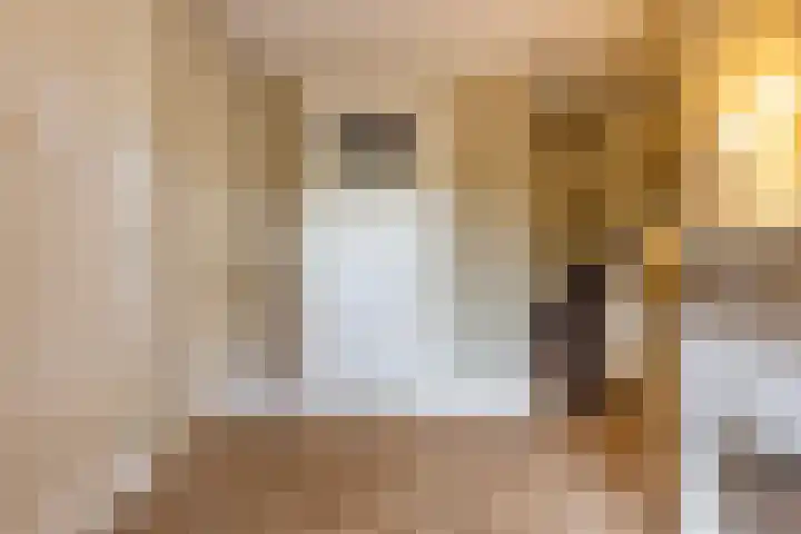 Veenhuisweg 57 Twello thumbnail 7