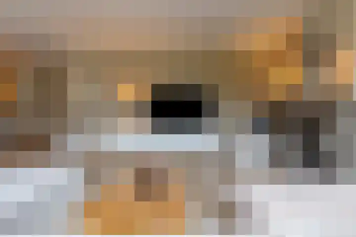 Veenhuisweg 57 Twello thumbnail 9