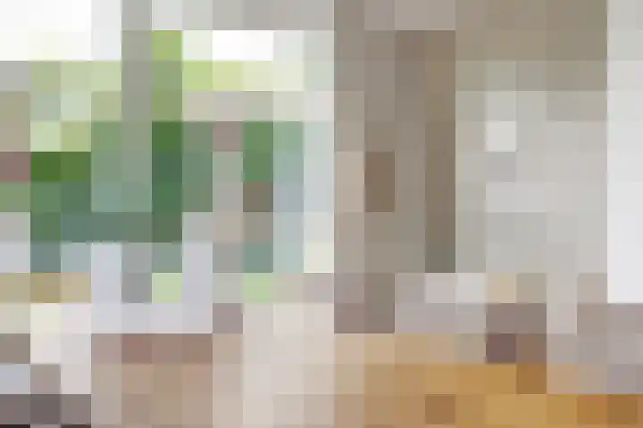 Veenhuisweg 58 Twello thumbnail 11